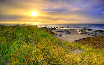 Ocean Sunset, Nature, Sunset, Ocean, Grass HD wallpaper