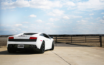 White Lamborghini Gallardo, , background, Automotive excellence HD wallpaper