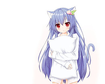 Gallery of Anime Girl With Blue Hair And Cat Ears HD wallpaper