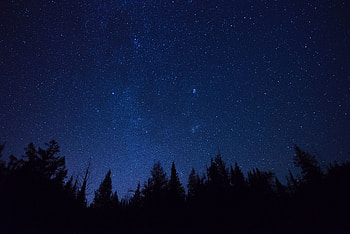 Trees, Stars, Night, Dark, Starry Sky, Outlines, Ate HD wallpaper