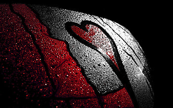 Love, Macro, Heart HD wallpaper
