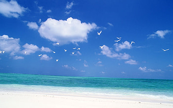 Landscape, Sea HD wallpaper