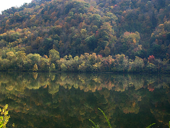 in wva, river, water HD wallpaper