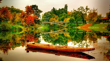 October, colorful, glow, colors, nice, reflection, shine, autumn, golden, fall, beautiful, tree, falling, leaves, mirrored, pretty, branches, nature, lovely, foliage HD wallpaper