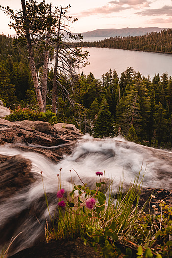 Landscape, Nature, Rivers, Mountains, Lake, Forest HD phone wallpaper