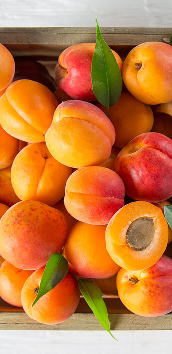 Apricot, Nutrient-rich, Summertime delight, Stone fruit HD phone wallpaper