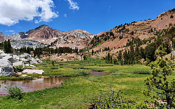 Isolated Meadow In the Eastern Sierra, california, landscape, trees, clouds, sky, rocks, usa HD wallpaper
