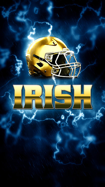 Notre Dame /Android Screen Resolution (1440 x 2560) HD phone wallpaper