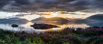 Nature, Flowers, Sunset, Sky, Mountains, Sea HD wallpaper