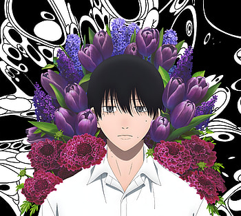 Anime — The Summer Hikaru Died: Tsujinaka Yoshiki, Anime, The Summer Hikaru Died, Tsujinaka Yoshiki HD wallpaper