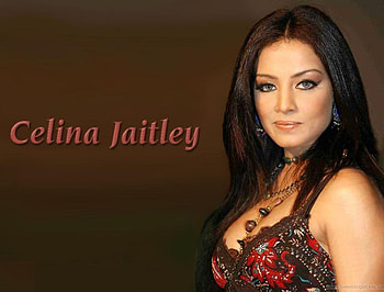 Celina Jaitley gorgeous brunette, sexy, hot, cute, tall HD wallpaper