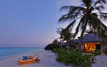 Villa, Nature, Palms, Coast, Shine, Light, Evening, Romance HD wallpaper