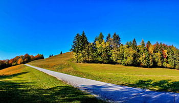 Nature, Trees, Road, Slope, Shadows, Line, Clear, I See, Straight, Straight Line HD wallpaper