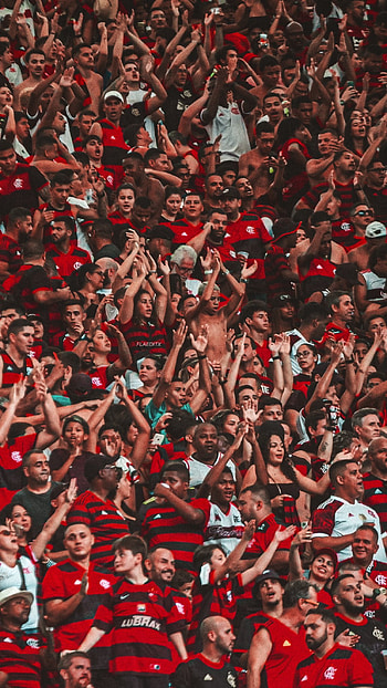 Flamengo, Mengo HD phone wallpaper