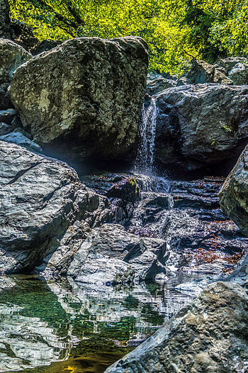 Nature, Water, Trees, Stones, Rocks, Waterfall, Flow, Stream HD phone wallpaper