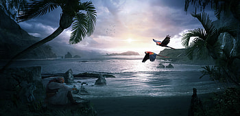 Hidden Moments, deviantart, macaw, parrot, artist, artwork, digital-art, deviantart, beach HD wallpaper