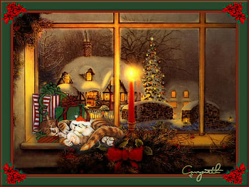 quiet sleep, quiet, sleep HD wallpaper