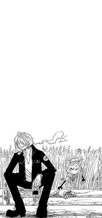 Sanji, Anime, Vinsmoke, One Piece, Fox, Manga HD phone wallpaper