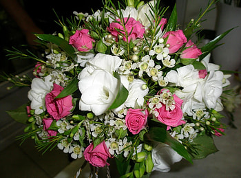 Flowers, Roses, Greens, Bouquet, Composition, Tea Tree HD wallpaper