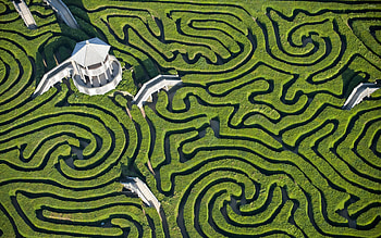 Longleat Hedge, Maze HD wallpaper