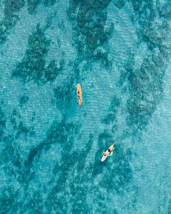 Aerial view of surfers on turquoise waters in Hawaii, showcasing vibrant ocean life. HD phone wallpaper
