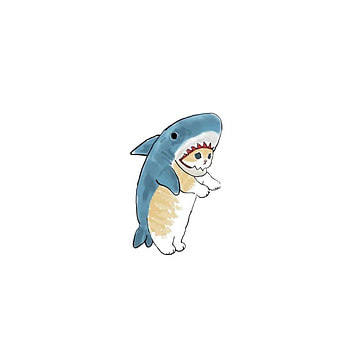 Matching shark-cat, art, sleeve HD phone wallpaper