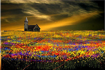 Flowers, sky, abstract HD wallpaper