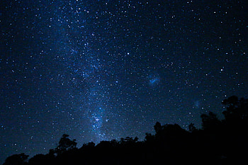 Trees, Universe, Stars, Dark, Starry Sky HD wallpaper