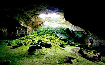 big cave, grass, light, nature, grass, big cave, nature, light HD wallpaper