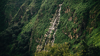 Nature, Trees, Stones, Break, Precipice, Slope HD wallpaper