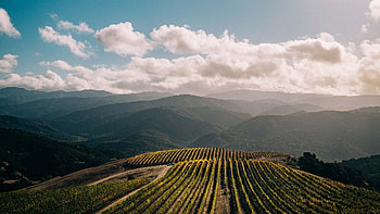 Corporate Holman Ranch, Event venue, Business retreat, California wine country HD wallpaper