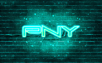 PNY turquoise logo, , turquoise brickwall, PNY logo, brands, PNY neon logo, PNY HD wallpaper