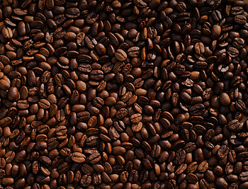 Beverage, Coffee beans, roasted HD wallpaper