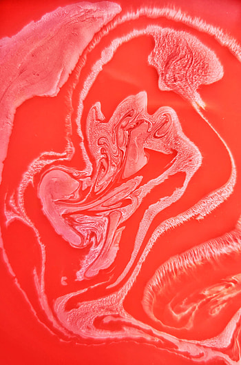 Abstract, Divorces, Paint, Liquid, Fluid Art HD phone wallpaper