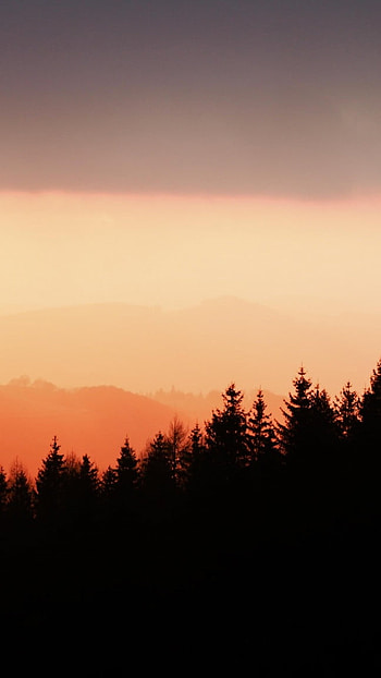 13, Nature, Background HD phone wallpaper