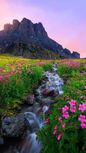 Beautiful For, Fantastic graphy HD phone wallpaper