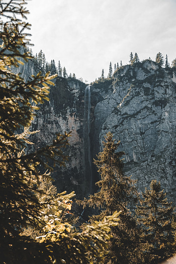 Landscape, Nature, Trees, Rock, Waterfall, Break, Precipice HD phone wallpaper