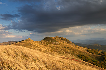 Nature, Sky, Field, Ears, Slope, Spikes HD wallpaper