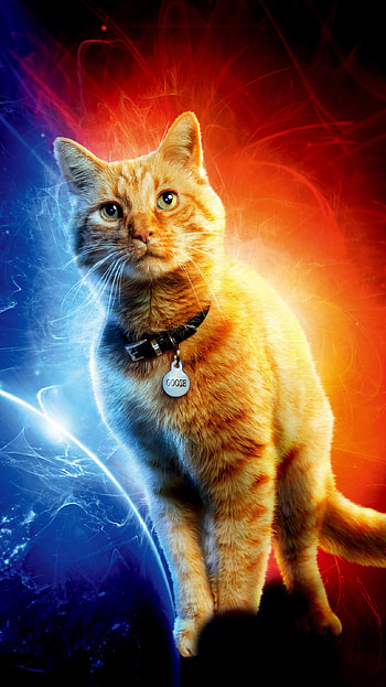 Captain Marvel (2022) movie HD phone wallpaper