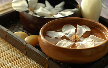 Spa, brown, flowers, flower HD wallpaper