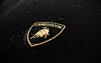 Rain, Lamborghini Logo HD wallpaper