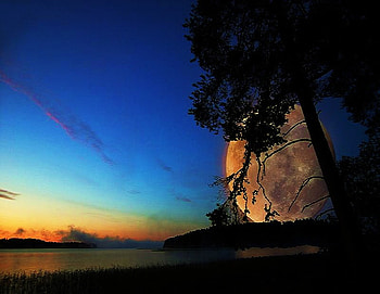 Touch the Moon, night, blue sky, close, reflection, water, harvest moon, tree HD wallpaper