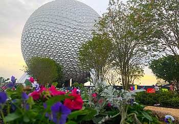 Epcot Park, gift, Disney World, DFB The Disney Food Blog HD wallpaper