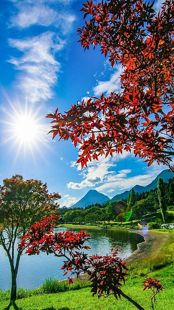 Beautiful Nature, Aesthetic HD phone wallpaper