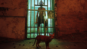 stray 23, video game, Stray HD wallpaper