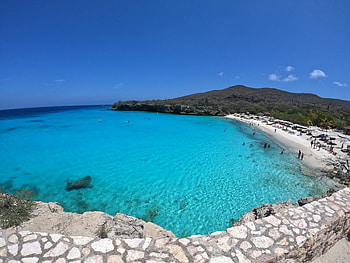 Curacao Island, Grote Knip beach, Snorkeling with sea turtles HD wallpaper