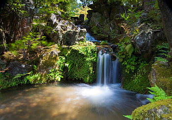 Nature, Rocks, Waterfall, Vegetation, Innocence HD wallpaper