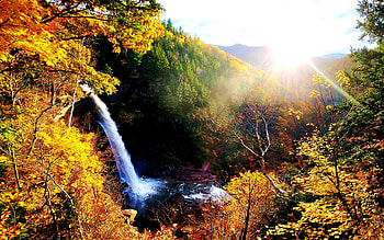 Autumn in Kaaterskill Falls, NY, river, leaves, sunrays, fall, colors, trees, sun, usa HD wallpaper
