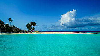Beautiful Ocean View Palm Trees Hut Beach Water Under White Clouds Blue Sky Beach HD wallpaper