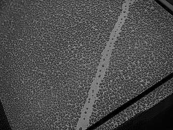 Drops, Macro, Wet, Bw, Chb HD wallpaper
